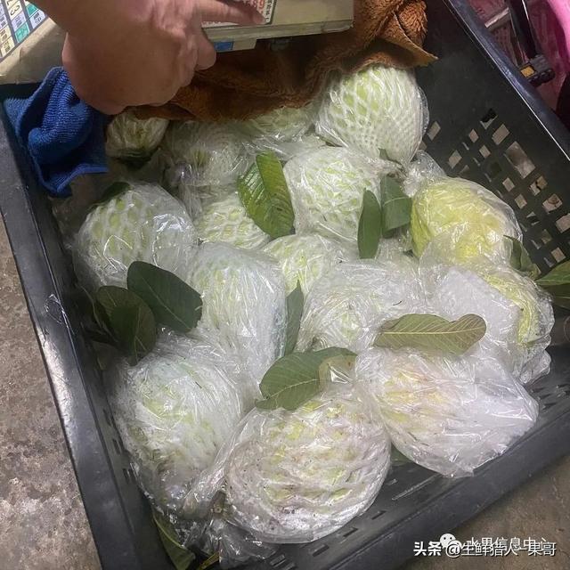 芭乐是什么水果，芭乐是什么水果-吃了对人体好吗（又被茶饮店们带火了）