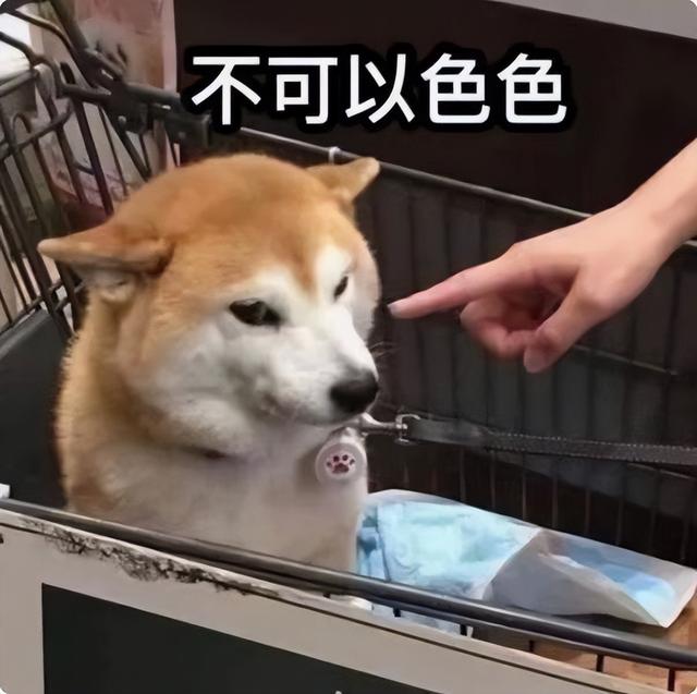 身体有异味是什么原因女性，女人身上异味重原因（都是从生完娃开始的）