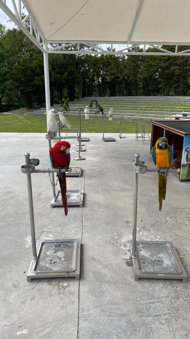 上海到青岛多远，上海到青岛的路程（上海青岛往返1400公里全程无高速沿途城市蜻蜓点水游）