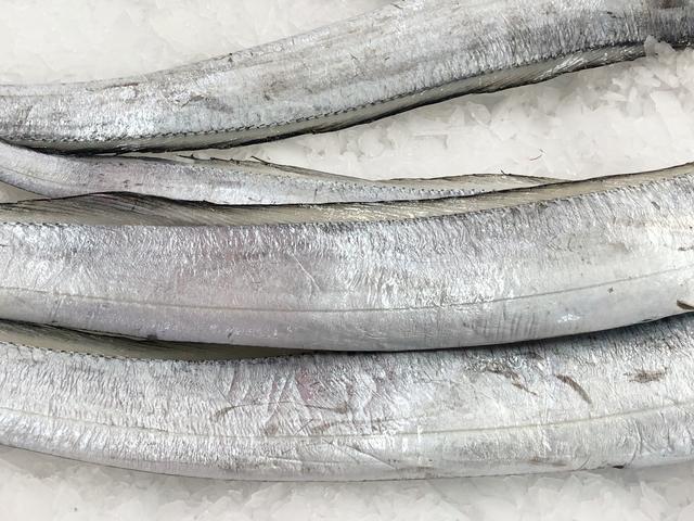 怎样挑选新鲜带鱼，如何挑选鲜带鱼（牢记“3买3不买”）