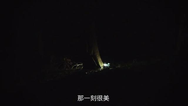 美国派哪部好看，美国派那几部好看（HBO这部9分短剧=当代《楚门的世界》+《盗梦空间》）