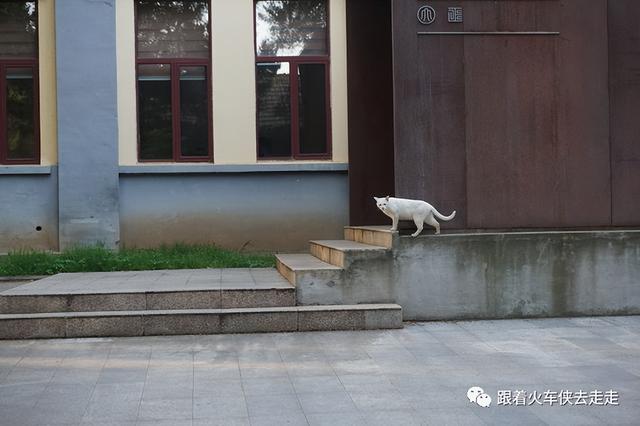 南京都有哪几个区，南京财经大学都有哪几个校区呀（南京人看南京——街区篇-T80园区）