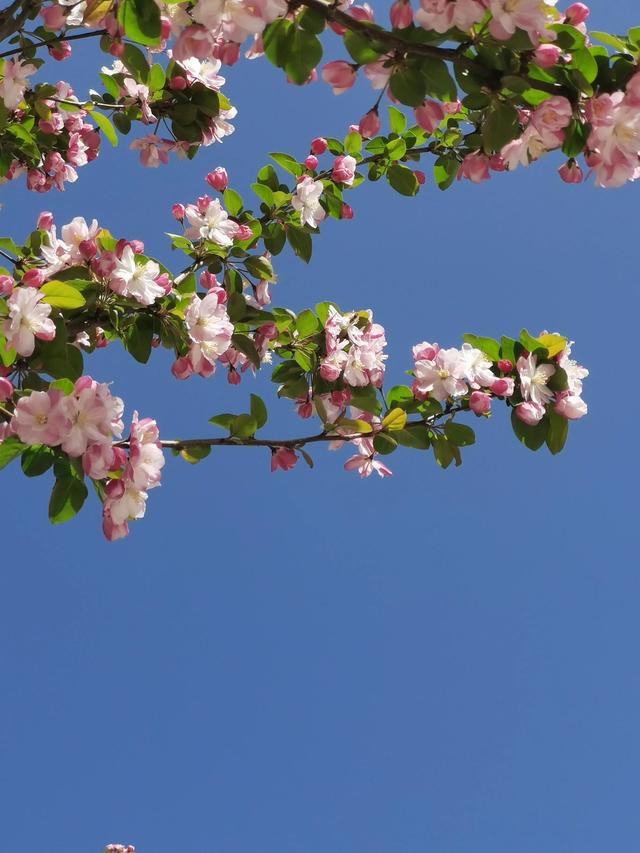 形容生活美好的成语，形容生活中美好的事的成语（人间最好的成语是什么）