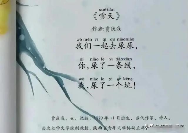 网络暴力事例，贾浅浅近日遭遇的网络暴力（网络暴力事例明星有哪些）