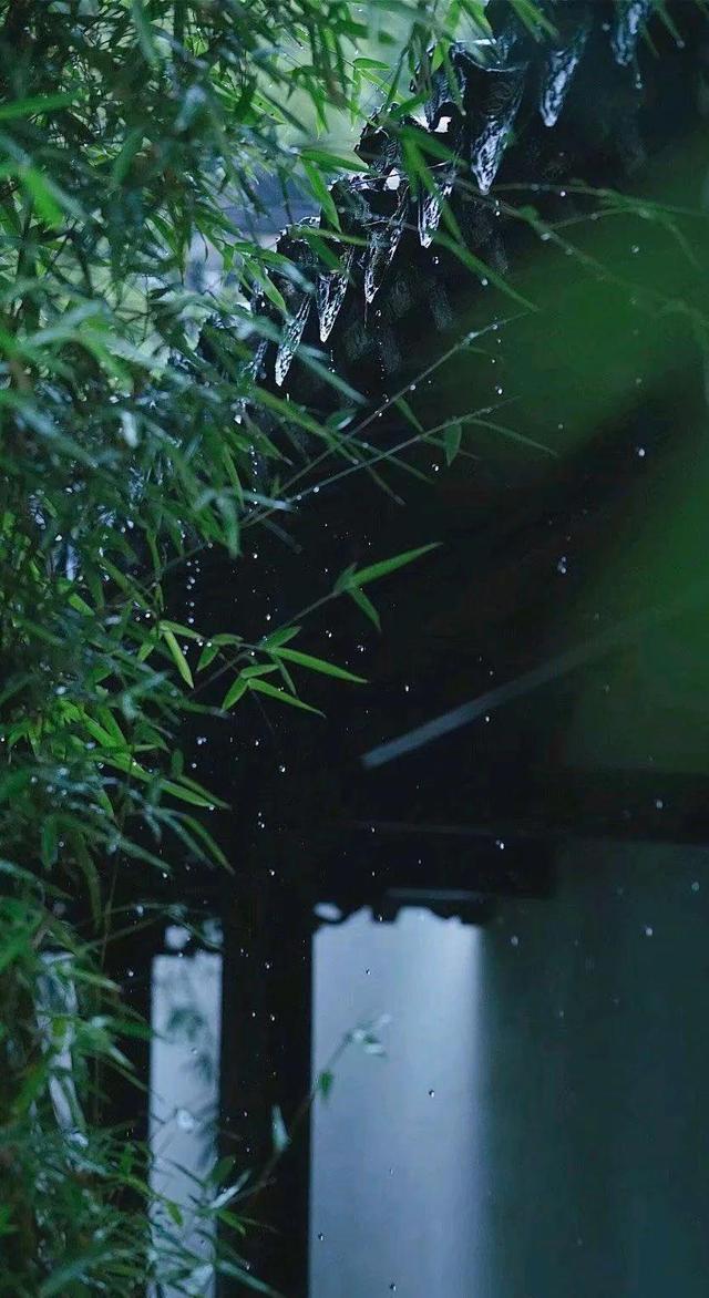 清晨下雨的图片唯美图片