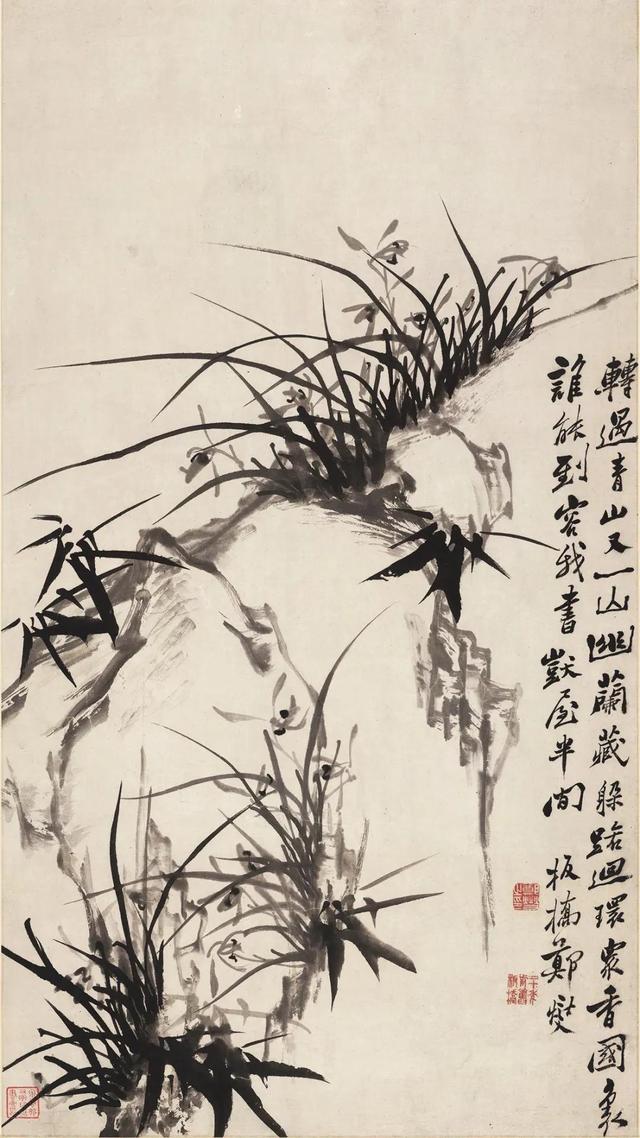 郑板桥擅长画什么，郑板桥擅长画什么什么之一（郑板桥画兰：肥瘦相间）