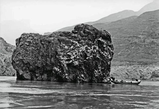 含羞的成语有哪些，含羞的诗句和成语（青梅含羞待佳人）