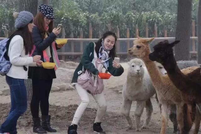 东北女人的性格特征，东北女孩有什么特点（中国各省人的性格特点）