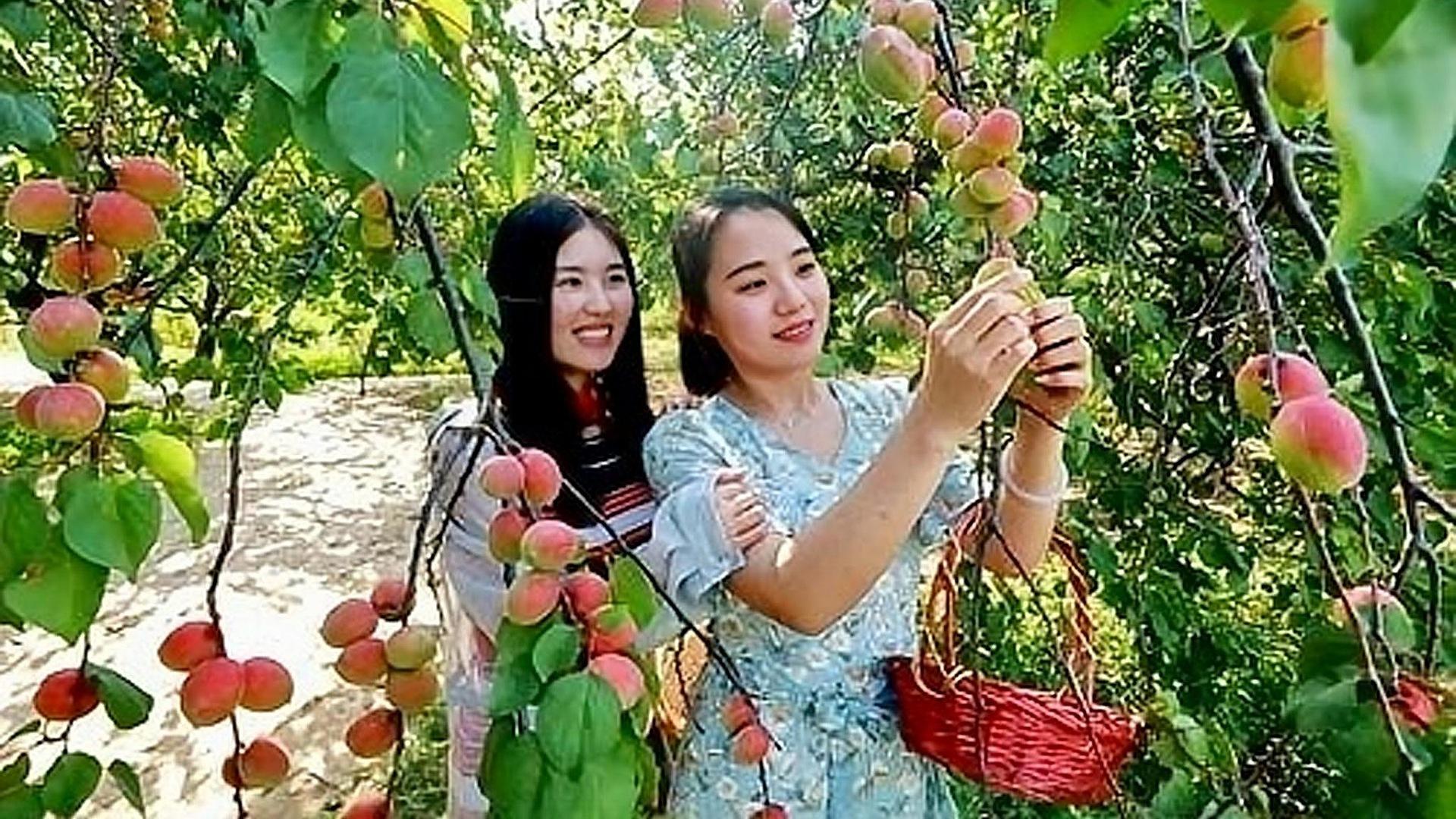 种地种什么赚钱(种地怎么种能挣钱)