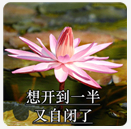 微信头像｜精选朋友圈优质头像，精选优质微信头像大全（头像 ， 朋友圈里最靓的头像）