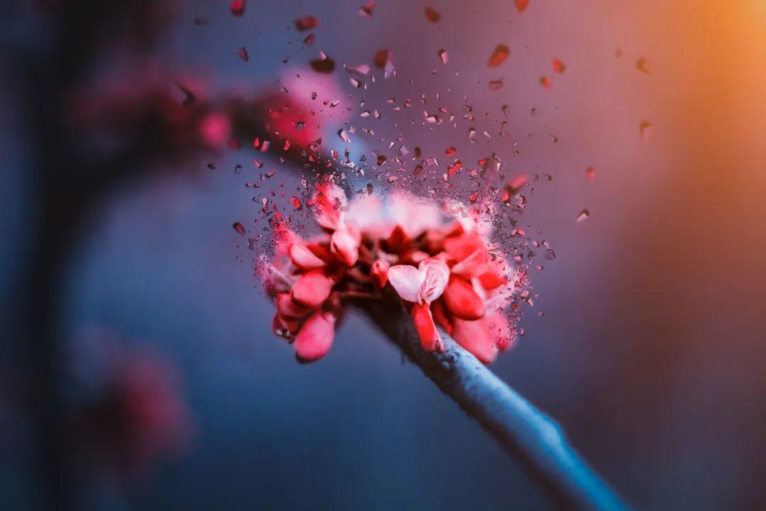 亦的读音是什么，亦字的拼音怎样读（写下最治愈的《临江仙》）