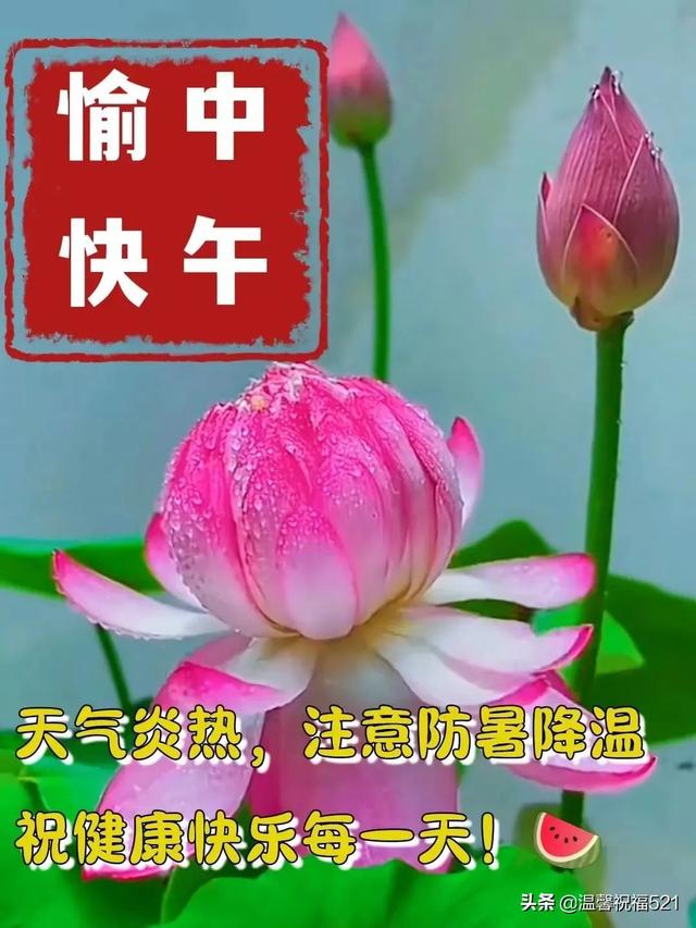 每日早安问候语，每日一句早安问候语（7月17日星期天最新版漂亮早安问候图片）