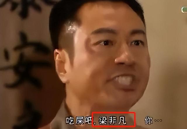 梁非凡是哪个电视剧，梁非凡是什么梗（盘点HK的甘草演员）