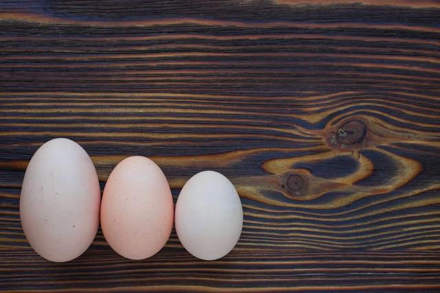 鸡蛋暗示什么意思，送人鸡蛋含义是什么（官方标准：这个级别最新鲜）
