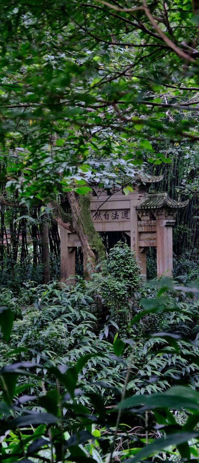 一个人可以玩什么，一个人玩的运动项目（适合一个人旅行的10个地方）