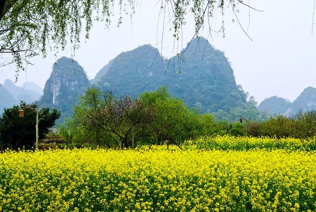 阳朔世外桃源景区，广西旅游-阳朔3世外桃源景区
