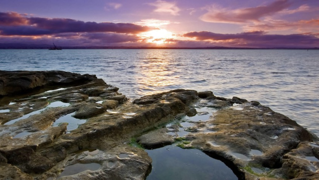 摩羯男的爱太疯狂了，摩羯男会因为性而爱上一个人吗（摩羯座疯狂爱上一个人时）