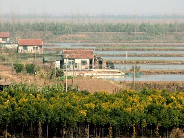 崇明岛在哪，崇明岛有什么好玩的景点（中国第三大岛崇明岛）