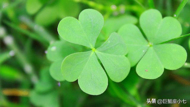 巨蟹座的七个特征，巨蟹座的一些特征（巨蟹座的三个可怕之处）