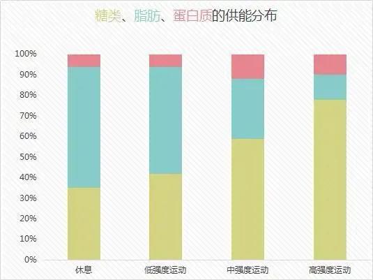 游泳健身了解一下，学会这这几个技巧开始游泳健身（带你了解游泳健身与营养）