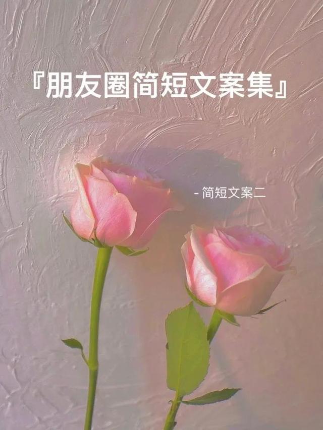 阳光点的微信名字，励志阳光的微信名字（爆赞的丰富图标文字）