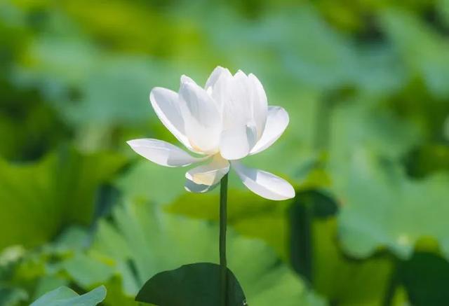 兔年宝宝取名最佳用字，兔年宝宝取名宜用字（适合兔年宝宝的名字）