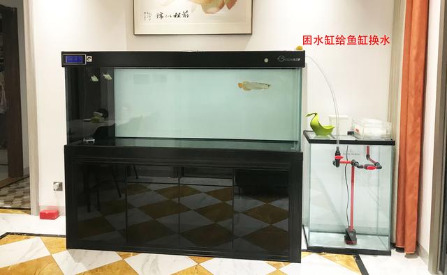 鱼缸水泵的正确使用方法，鱼缸潜水泵怎么用（自来水养鱼快速除氯气）