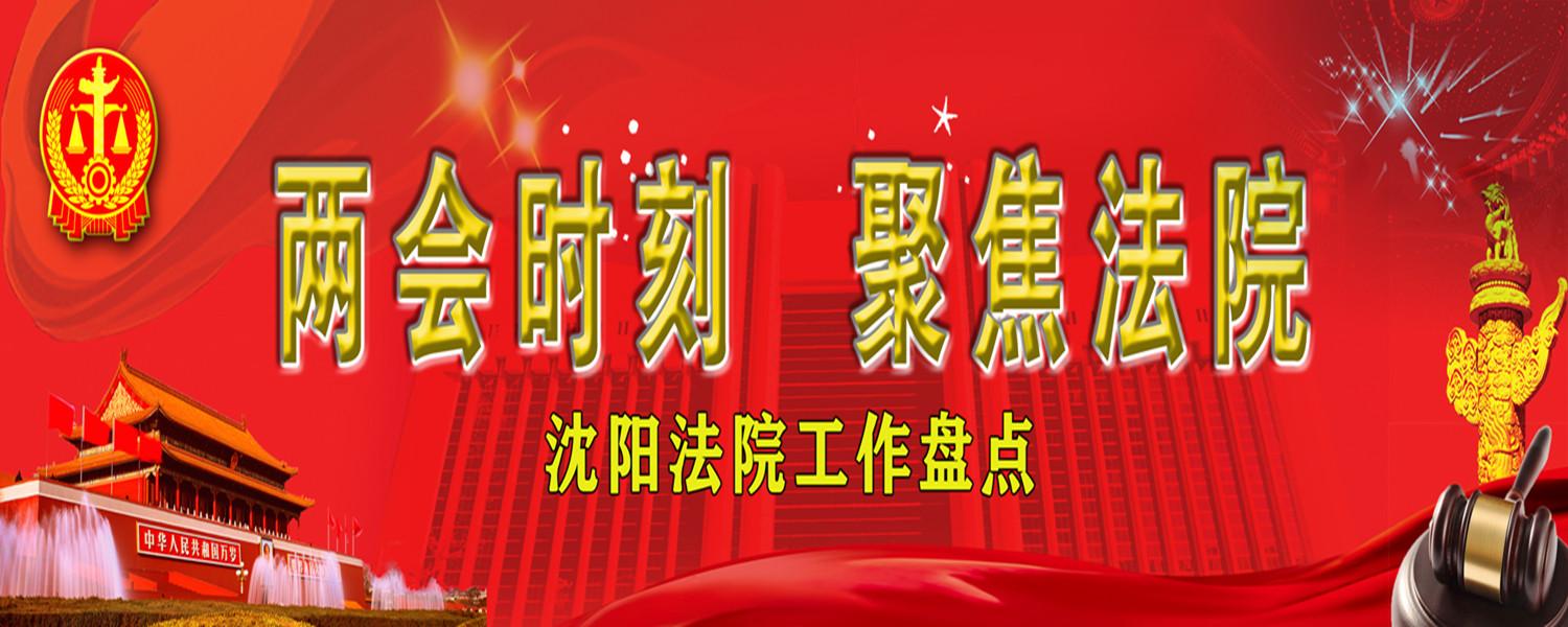 沈阳市中级人民法院（两会时刻）