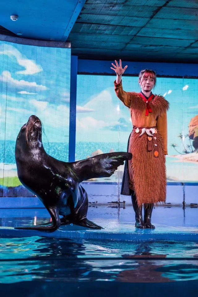 深圳海洋世界攻略，海洋馆、水秀剧场、梦幻巡游…在这里全都有