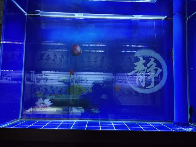 鱼缸适合放在家里的什么地方，家里的鱼缸摆放位置应该放哪里比较好（为什么说家中有大鱼缸）