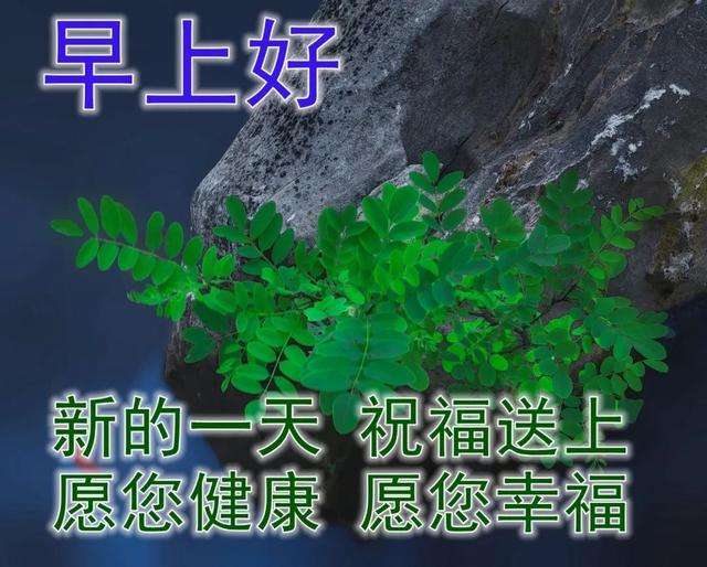 朋友圈动态背景，微信朋友圈动态背景怎么设置（夏日早上好动态祝福图片）