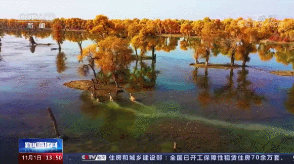 我国最长的河流是什么，世界最长河流排名前十（塔里木河到底有多重要）