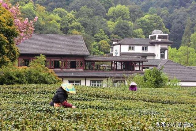 春天最适合旅行的地方，我在这3个地体验到了