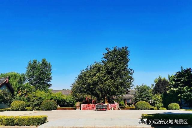 唯美图片清新简约 请允许我成为你的夏季，唯美图片清新简约头像（是时候给你点“颜色”看看了……）