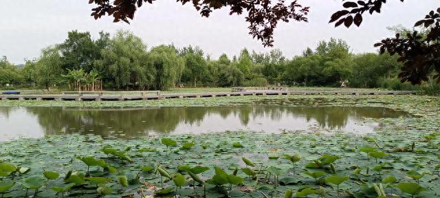 跟我一起游杭州——中午露营白马湖