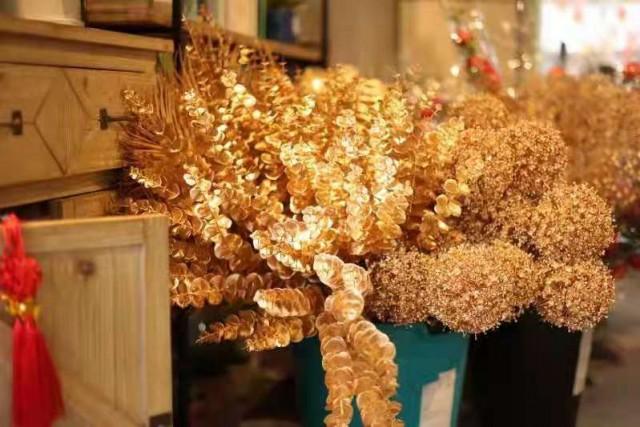 武汉花鸟市场，武汉花鸟市场几点关门（2022武汉迎春花市明日开幕）