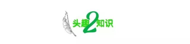 在大学寝室里做，大学宿舍里做哪些事情让生活精彩起来（热搜上“江苏男大学生不雅行为曝光”）