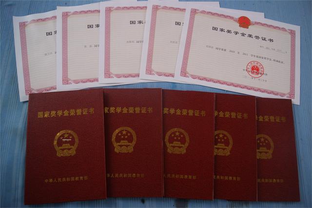 大学奖学金评定标准，大学奖学金怎么发放（这些条件都是“加分项”）