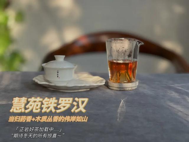 铁罗汉是什么茶，铁罗汉茶属于什么茶（不识慧苑老丛铁罗汉）