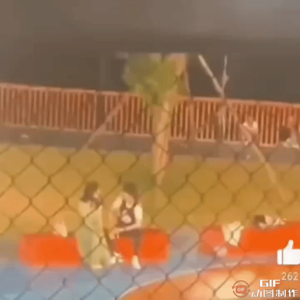 冬凌草的功效与作用，冬凌草片的功效与作用（跟胡军陈建斌合作《黑土无言》即将播出）