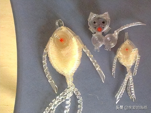 盘点小时候你没有玩过的玩具，农村孩子自制的33种难忘的玩具