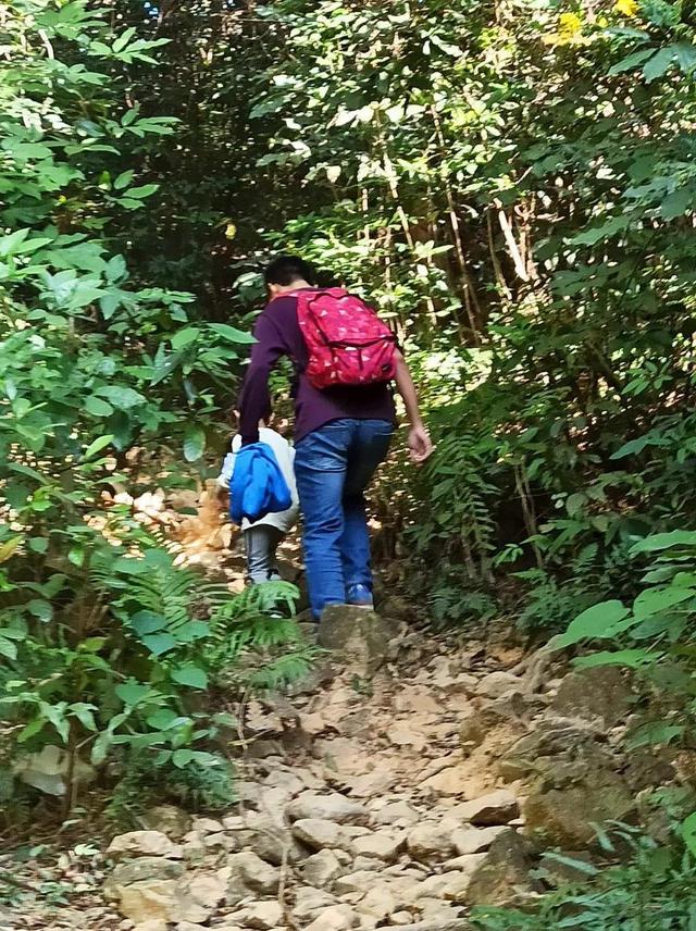 龙眼洞森林公园，广州龙洞森林公园介绍（广州徒步之渔龙线……）