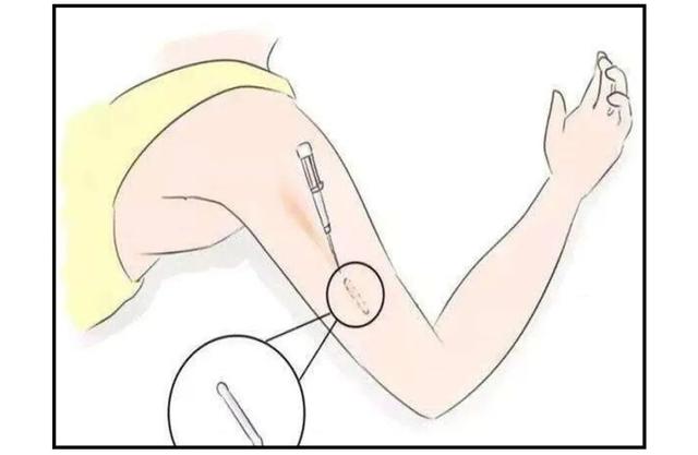 女人摸豆豆是什么意思,女生必须知道的4个常识(女人摸豆豆是什么意思