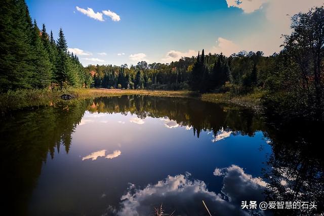 铁公鸡形容什么人，铁公鸡比喻什么人（请远离这三种无效社交）