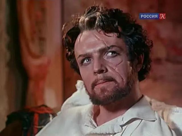 小说牛虻简介及作者介绍，小说《牛虻》（《牛虻》：自愈力）