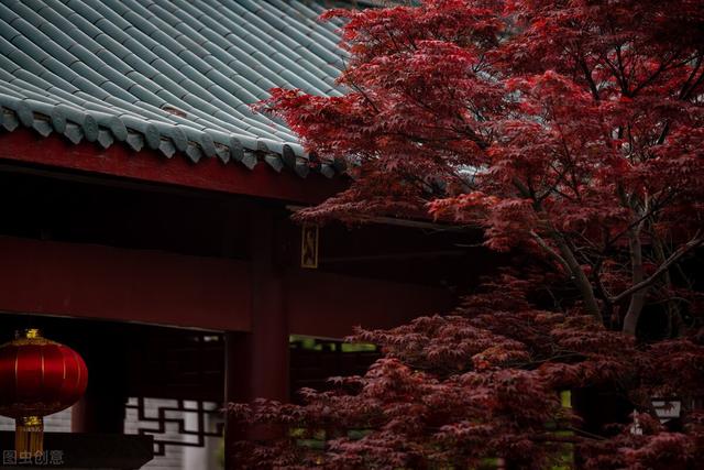 有良田美池桑竹之属的之什么意思，有良田美池桑竹之属的之是什么意思是什么（第十一课《岳阳楼记》知识梳理与专项训练）