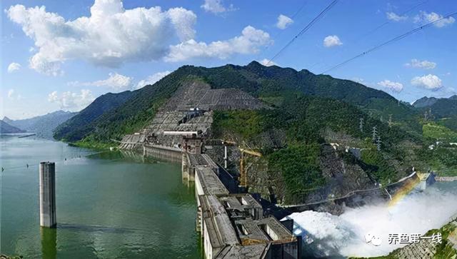 为什么兴建水坝时要留鱼道，河道能够修坝蓄水吗（低水头水利枢纽过鱼通道构建技术）