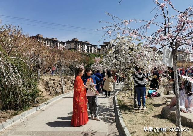 玉泉山樱花节午饭在哪里吃合适，2021-04-15