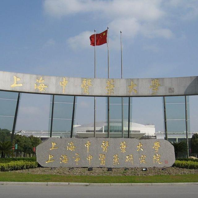 上海有几所985211大学，985211大学名单（上海5所双一流大学以及3所特色双非学校简介）