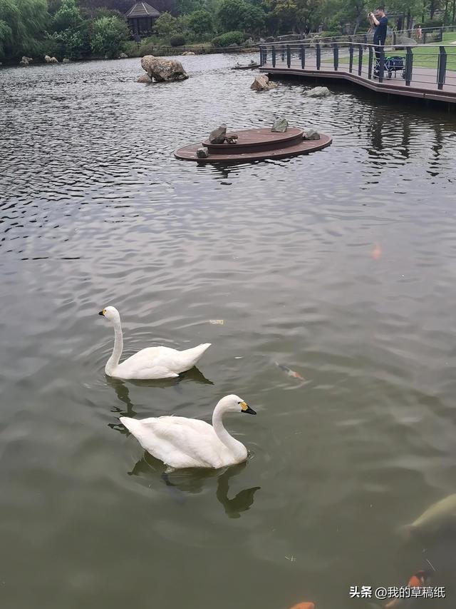 十一假期出游可畅玩银杏湖乐园，湖光山色风景迷人